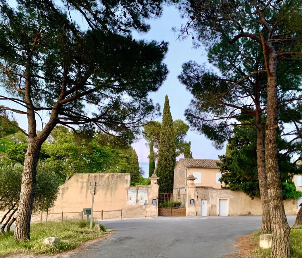 L'Alpille, à 10 minutes à pied du centre ville de St Rémy de Provence, proche d'Arles Saint-Rémy-de-Provence Extérieur photo
